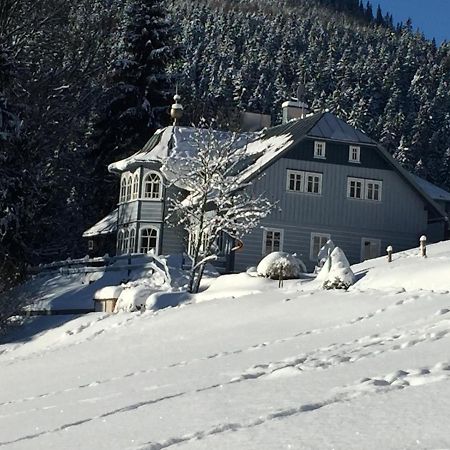 Penzion Modry Pavilon Долні Мала Упа Екстер'єр фото